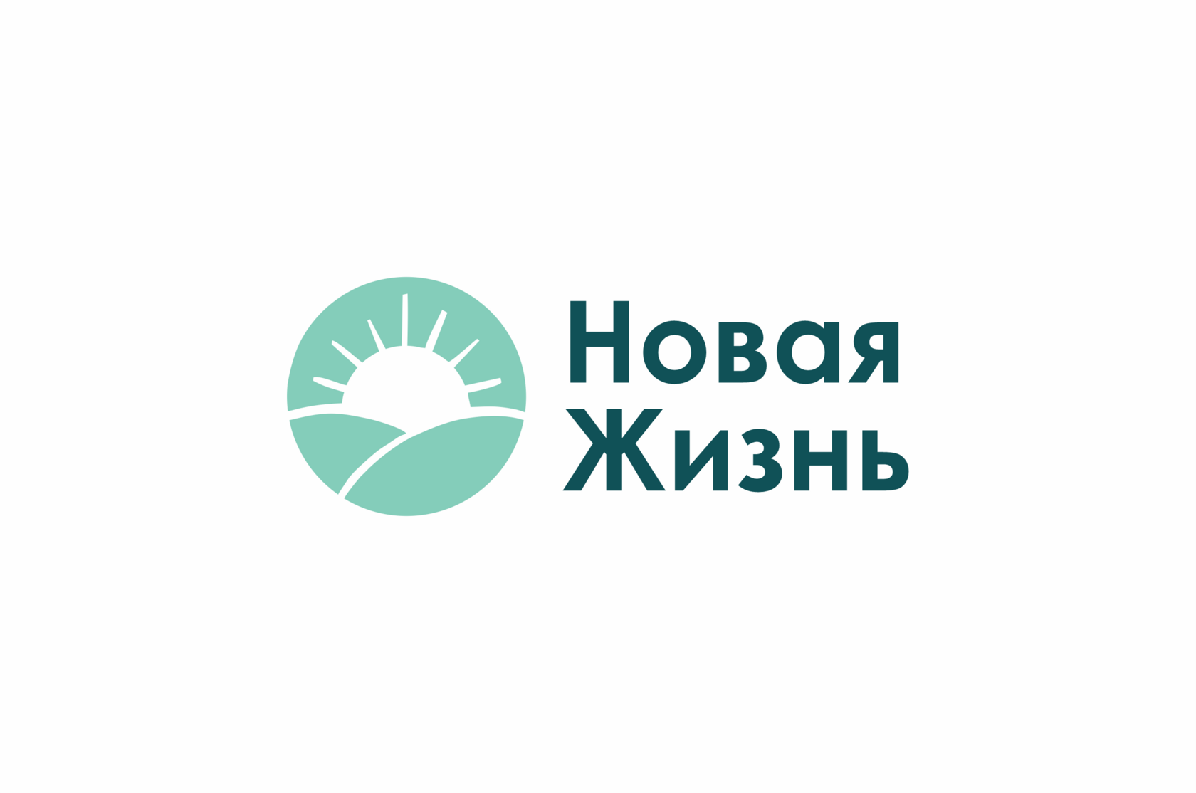 Новая Жизнь